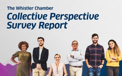 2019/20 Collective Perspective Survey Report