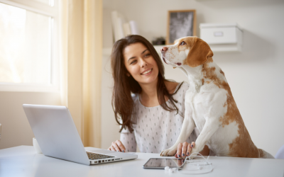 An Entrepreneur’s Guide to Working from Home