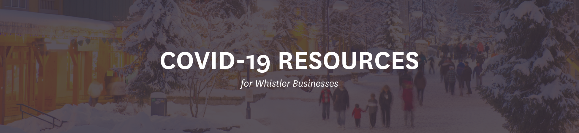 WordPress Banner Image