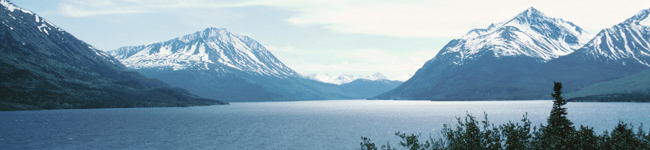 WordPress Banner Image (7)