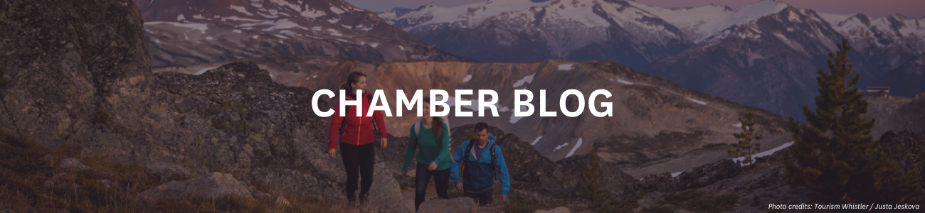 WordPress Banner Image (2)