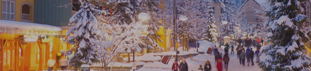 WordPress Banner Image (10)