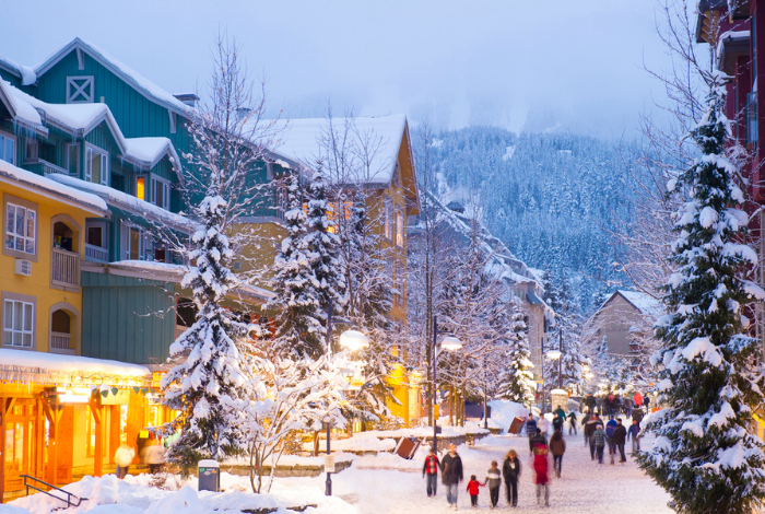 Whistler Chamber February Advocacy in Action Member Input Session