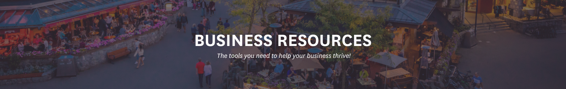 WordPress Banner Image Business Resources (1900 × 300 px)