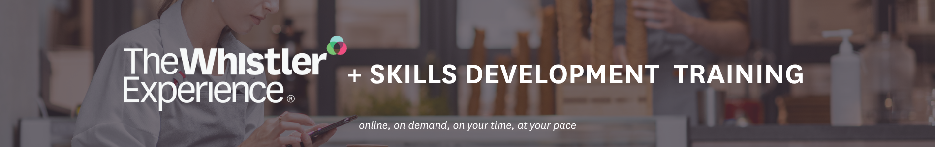WE Skills Development Training