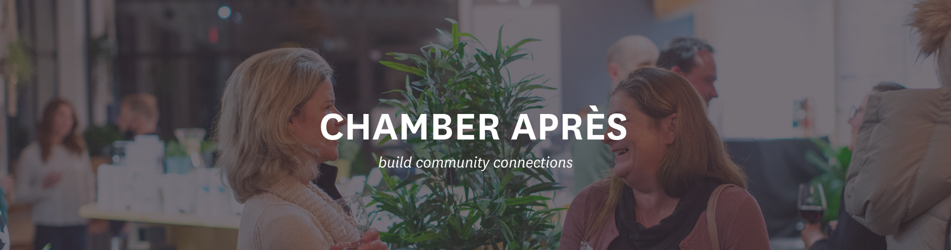 Website Header Chamber Après