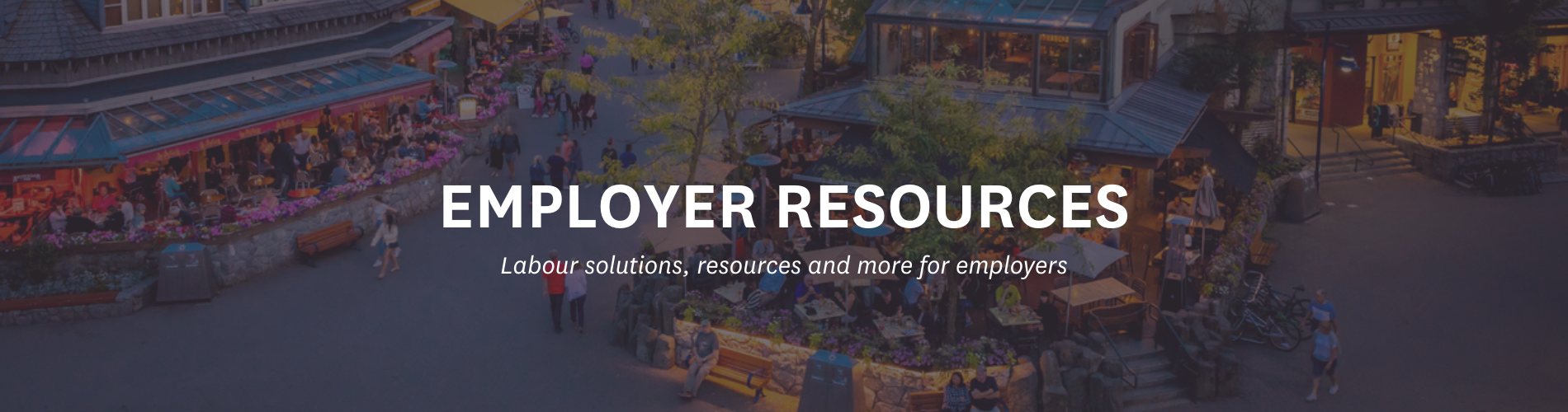 Website header_EMPLOYER RESOURCES