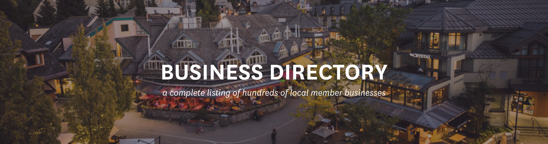 Website header_Business directory