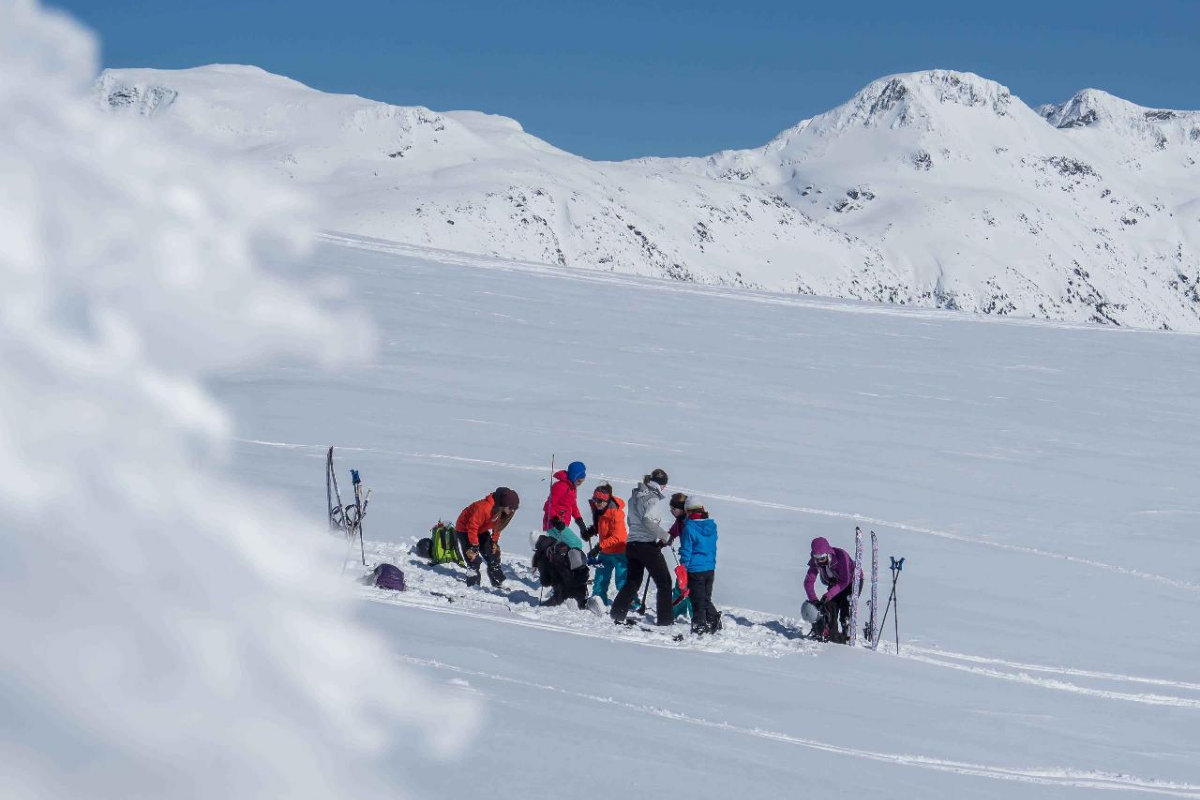 Skier riding down mountain on a sunny day blue skies and fresh powder kicking up behind