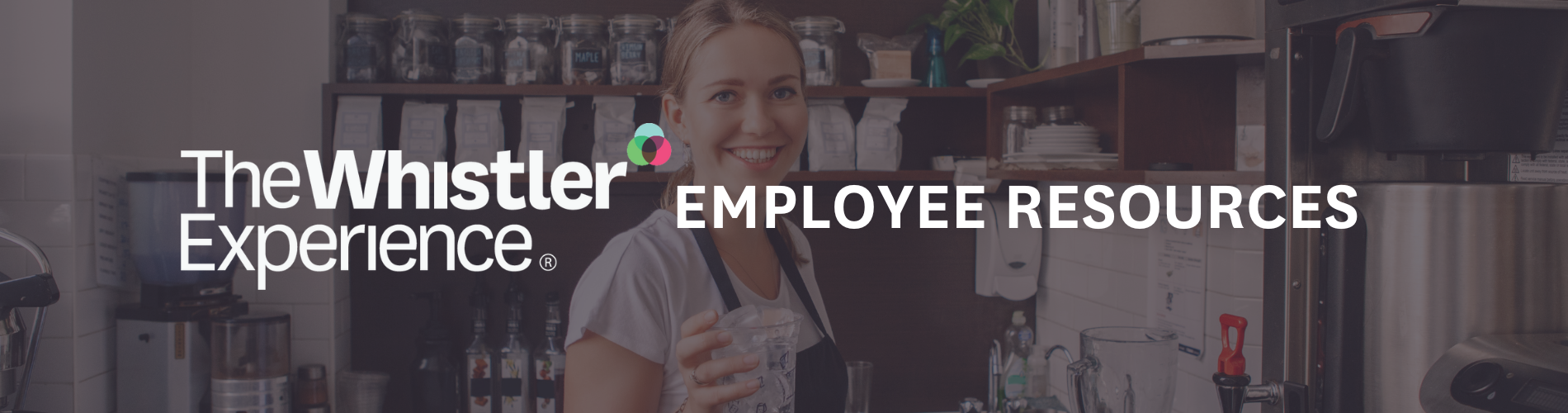 Website Header WE Employee resources