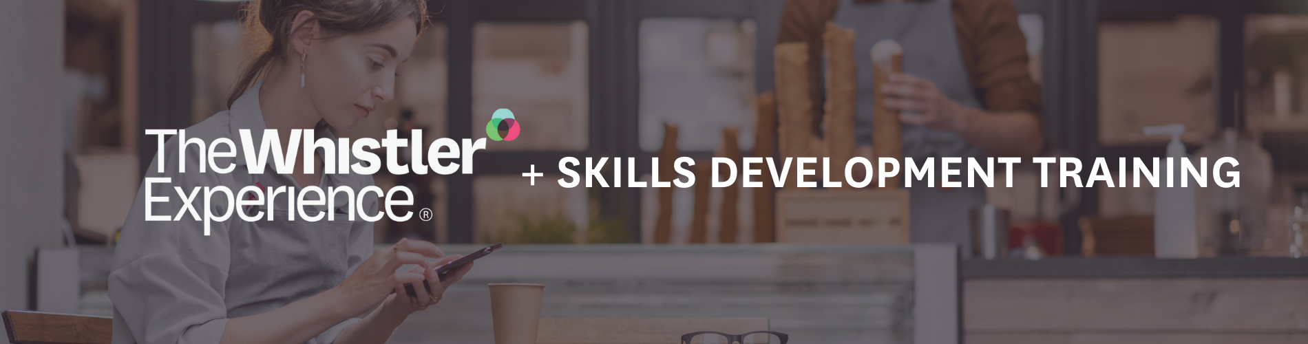 Website Header WE Skills Development Training