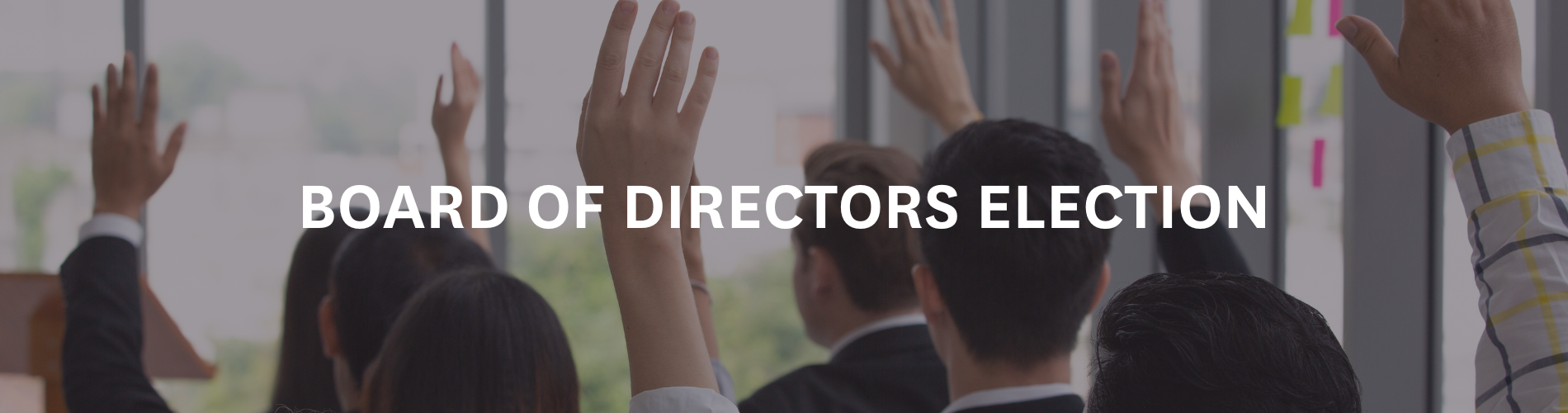 Website header_Board of Directors election