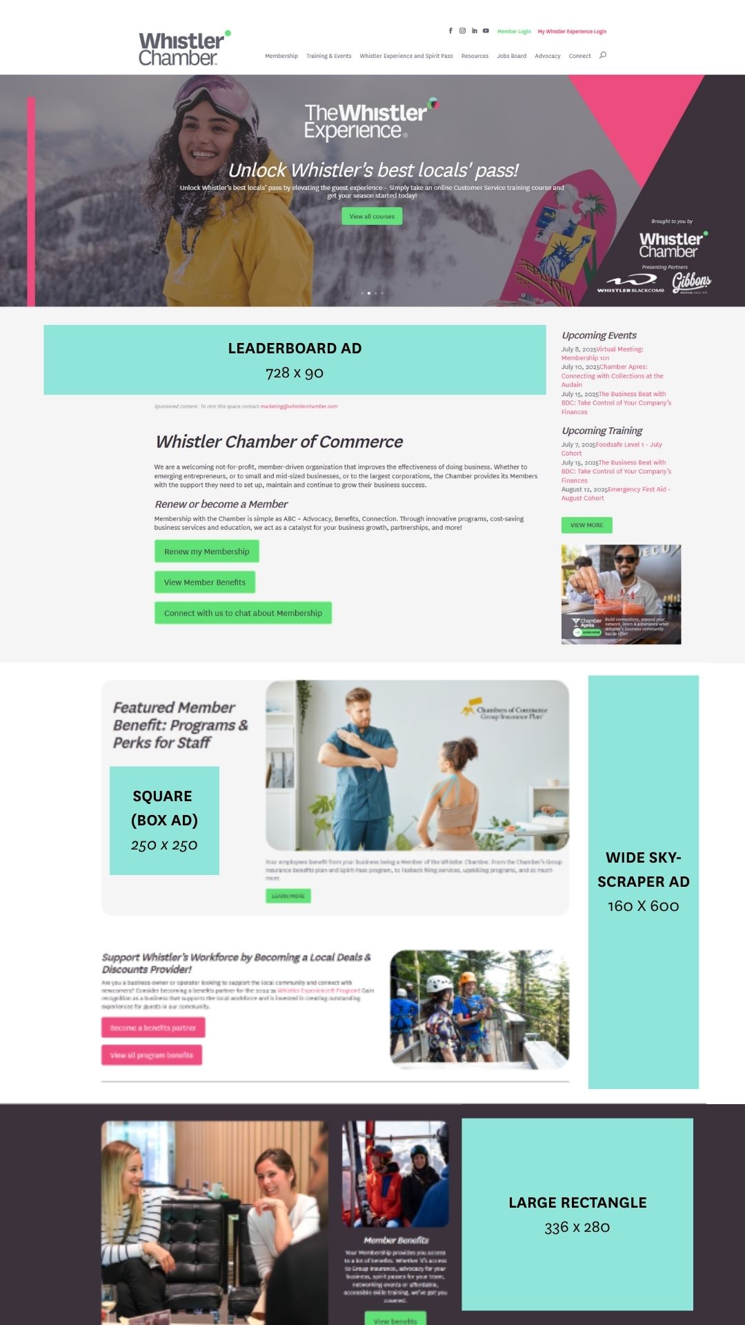 WCC Website ad examples