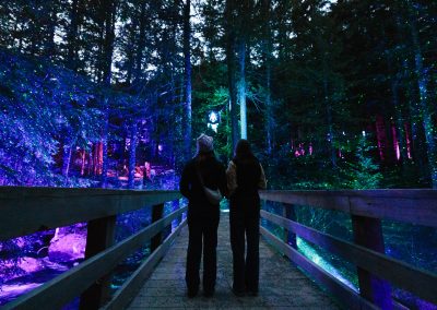 Light up the Night with The Adventure Group