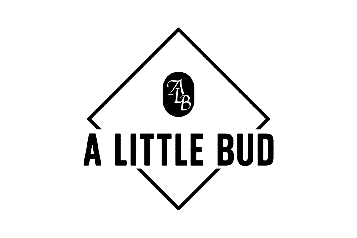 Skier riding down mountain on a sunny day blue skies and fresh powder kicking up behind