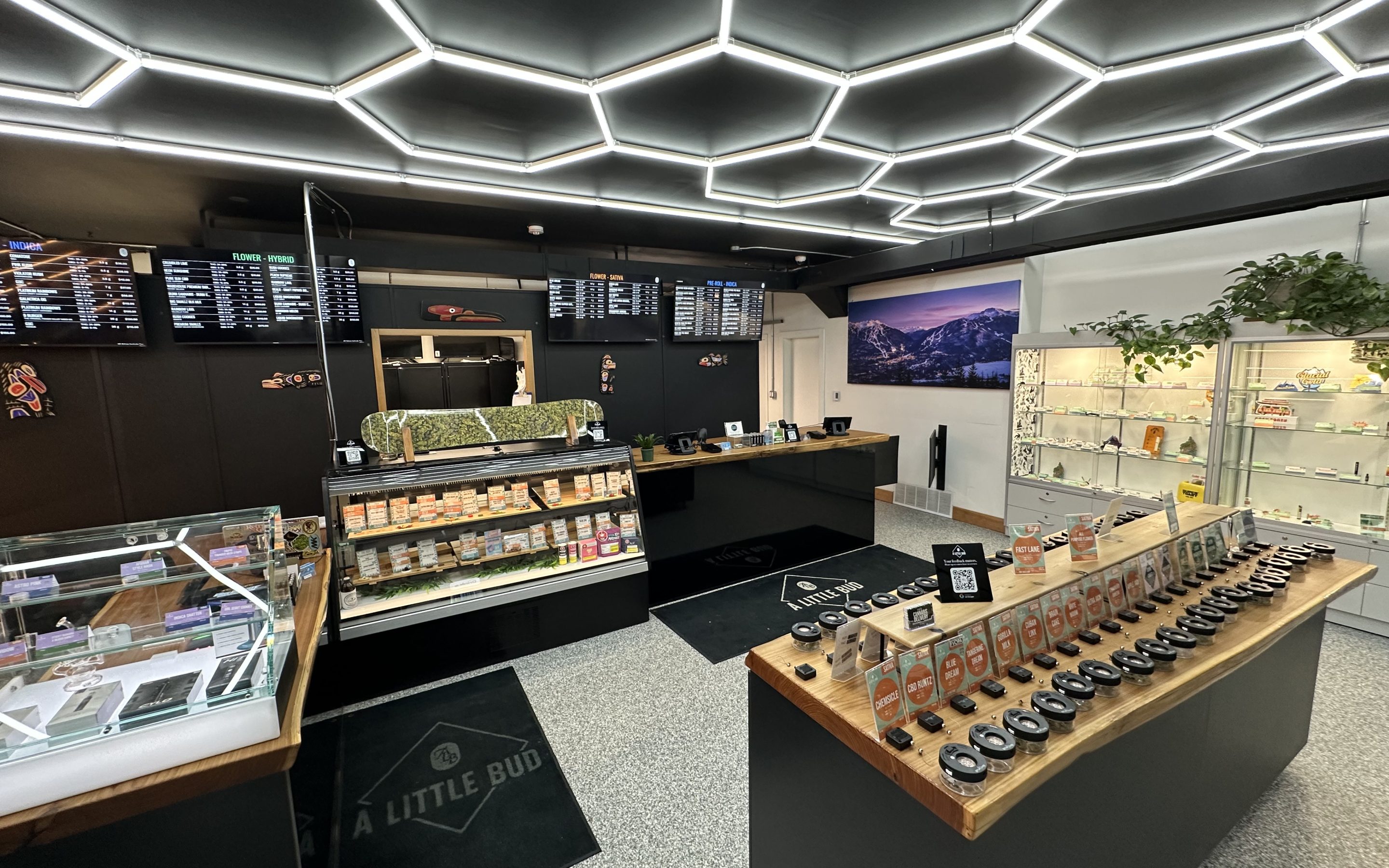 Member Spotlight: A Little Bud