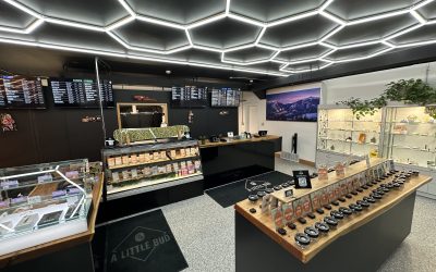 Member Spotlight: A Little Bud